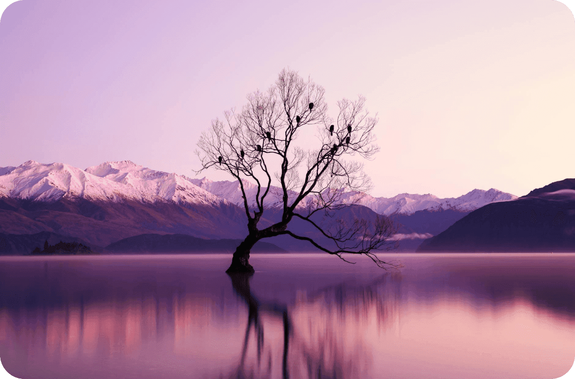 vimaan-holidays-282x186